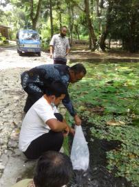 PELEPASAN BIBIT IKAN DI SENDANG MOLE